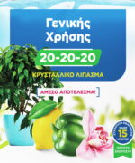 1600114-1.jpg