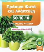 1600115-1.jpg