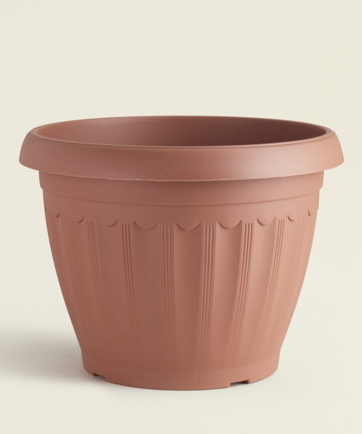 1600192.jpg