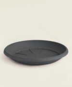 1600228.jpg